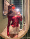 Photo escort girl ALARA : the best escort service